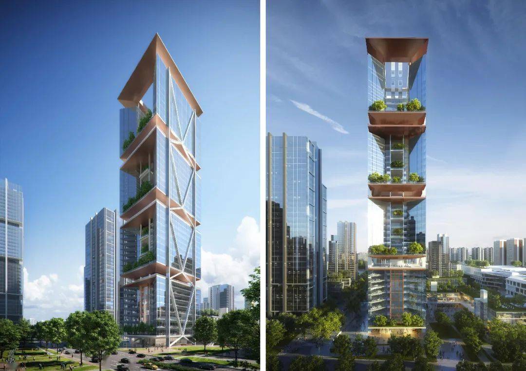 �»��ձ� | ʮ�����£��껨�����š�չ��ͼ