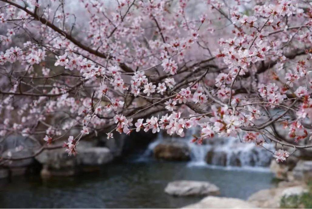 ���չ��ԣ�ʲô����˵TA ���һ����ۣ�