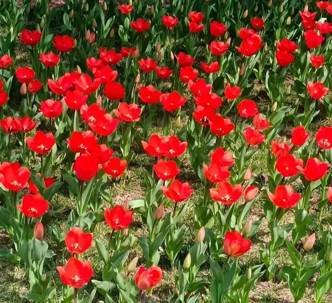 ���չ��ԣ�ʲô����˵TA ���һ����ۣ�