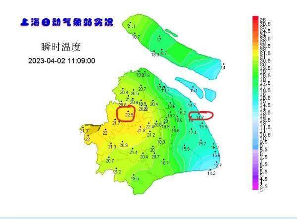 上海人留意：停运停航！受“土台风” 影响：清明节前风大雨大！