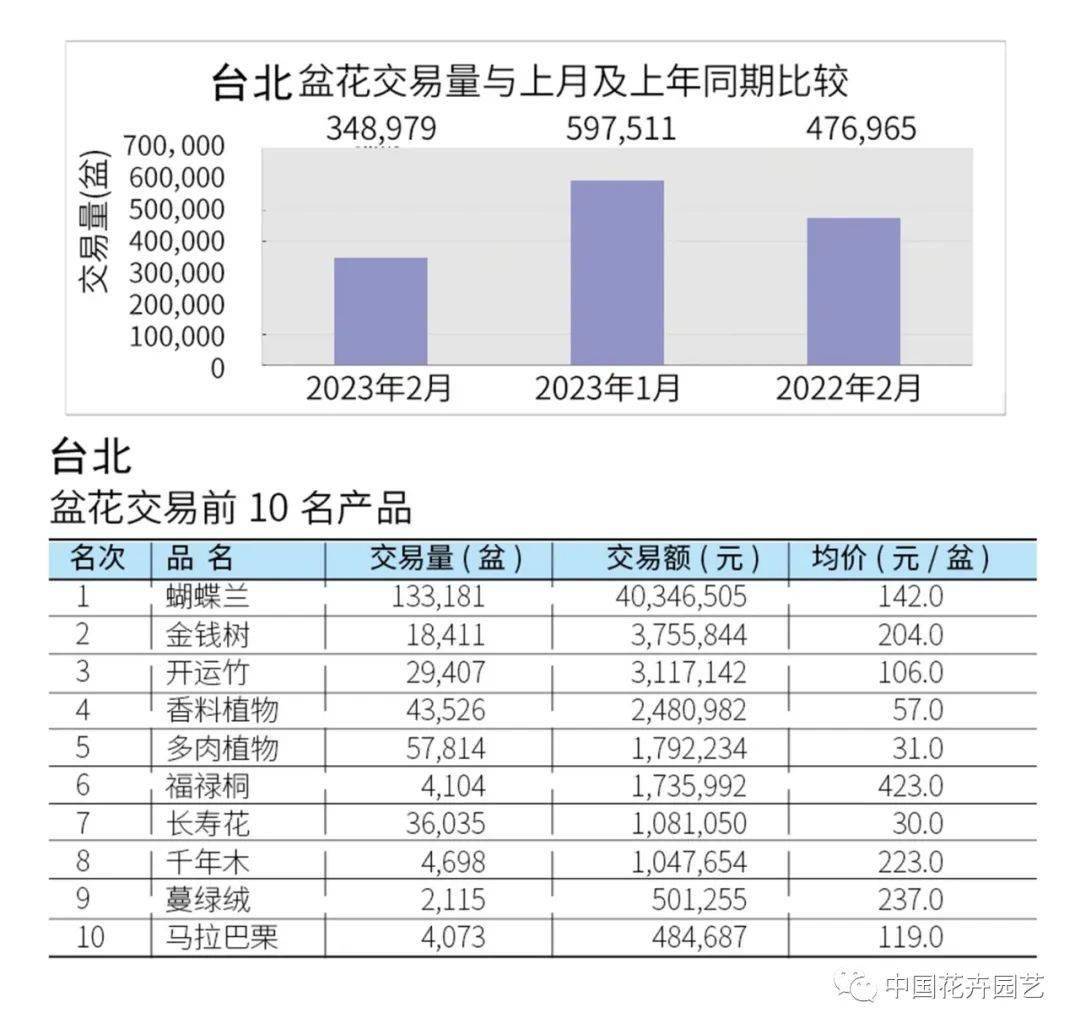 2月上海、广州、郑州、漳州、青州、台北盆花市场 | 行情