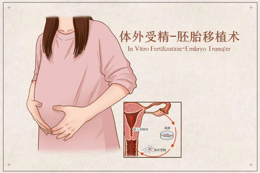 供卵机构（警惕试管婴儿术后结核病！）