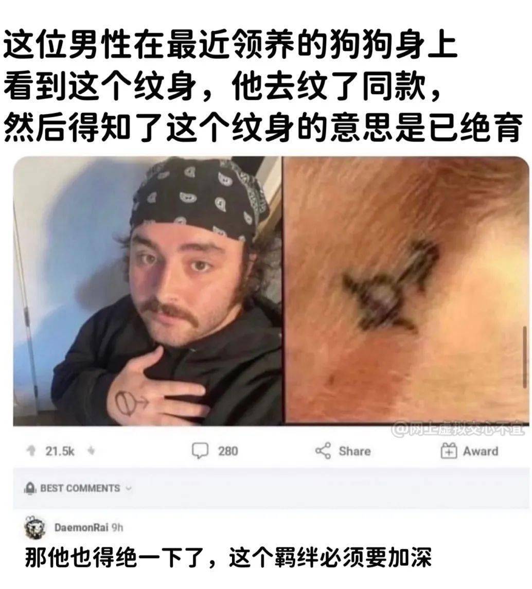 男子学宠物纹了同款纹身，万万没想到图案代表：已结扎