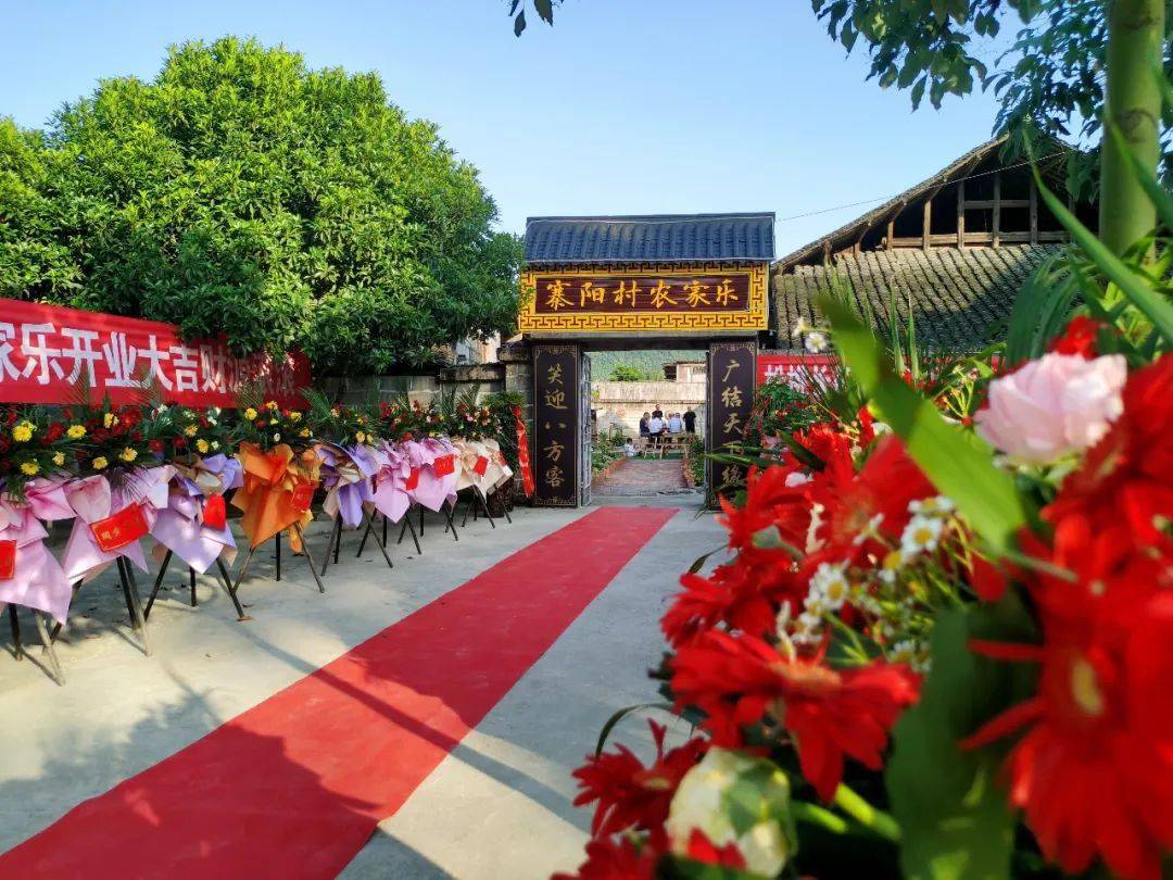 孟溪开云 开云体育平台镇寨阳村：特色农家乐敲开乡村振兴“致富门”(图2)