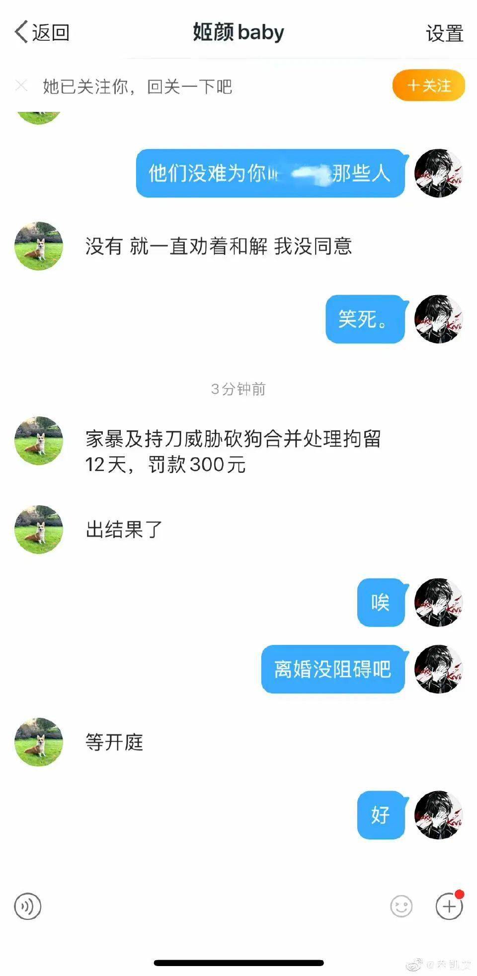 家暴、持刀、虐杀柯基等于12天300元，当事人起诉离婚
