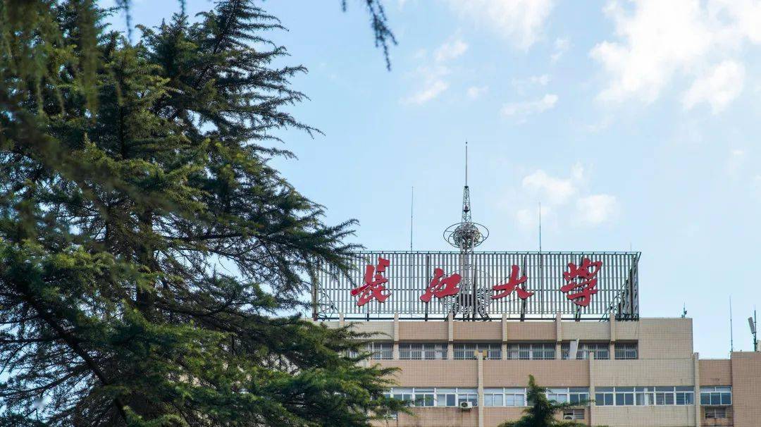 文章配图-11