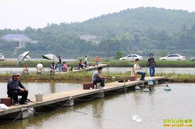 开云体育 Kaiyun.com 官网入口小本生意好致富：推荐6个农村致富小项目(图4)