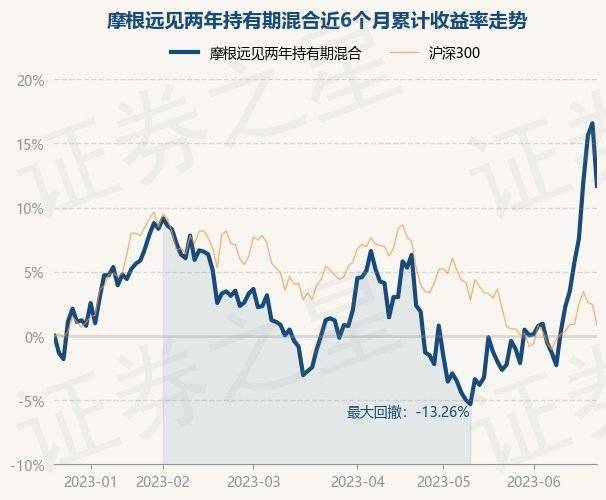 正规试管助孕机构（摩根指数基金）摩根海外基金净值377016，