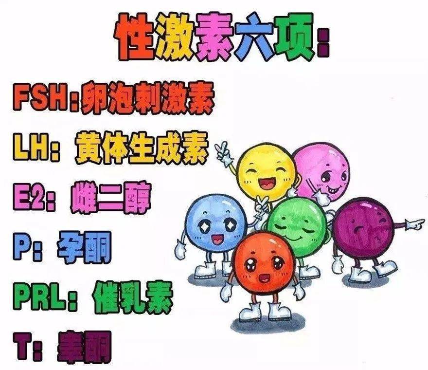 性激素检查的解读（上）