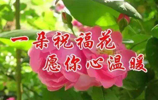 最后一天送你世界上最美好的祝福今天收到祝福的人接下来每一天都会幸福