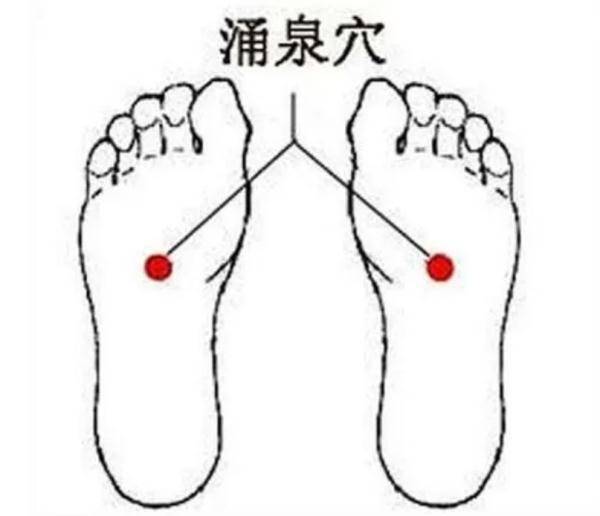 今日入伏，最难熬的40天来了！建议：吃3豆，炖1肉，解暑祛湿，补虚健脾，安稳过伏天！
