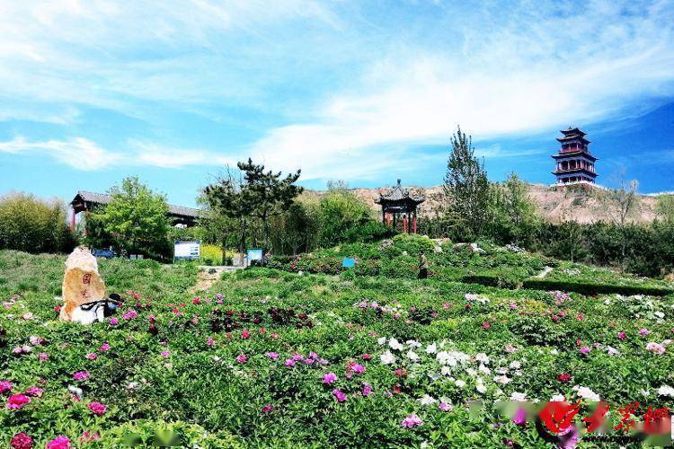 Kaiyun 开云体育省级休闲农业精品园区典型案例——昌邑市饮马镇休闲农业园区(图1)