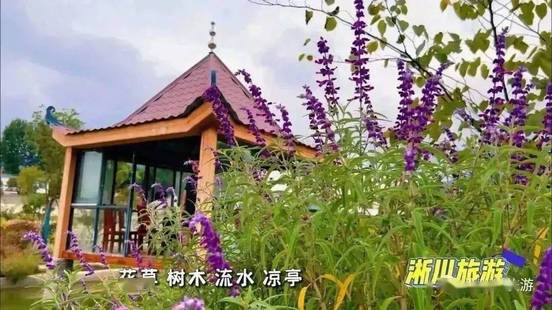 【淅川旅游】淅川近郊游攻略来啦~