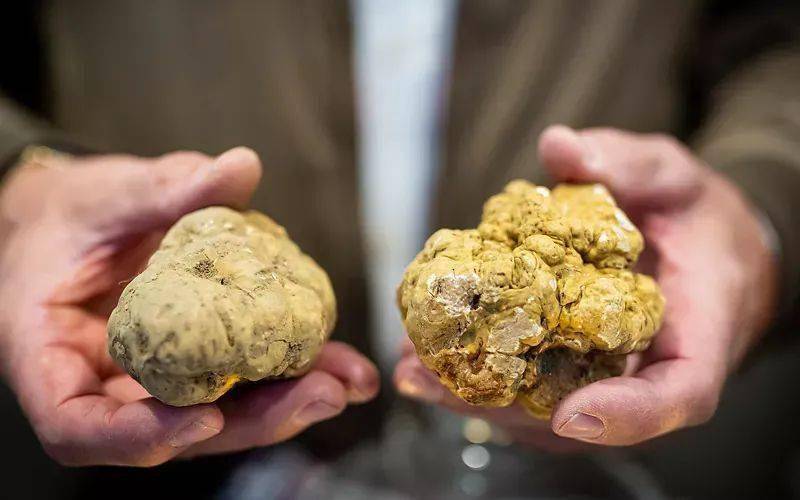 ��93�찢���͹��ʰ���¶��