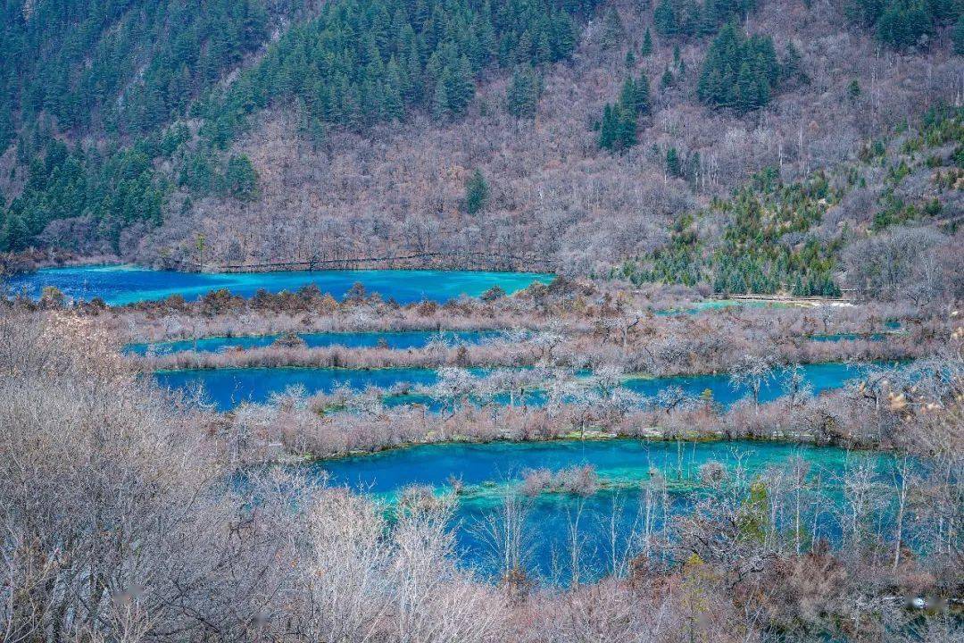 乘动车去九寨沟、香格里拉！从广西怎么走？