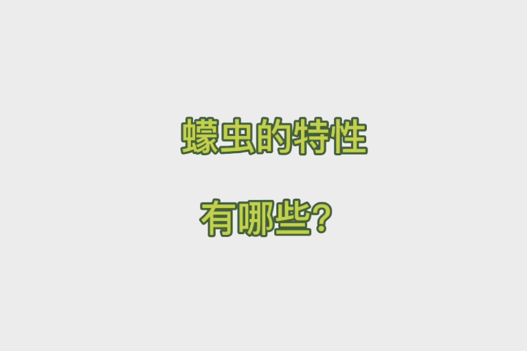 蠓虫的特性有哪些