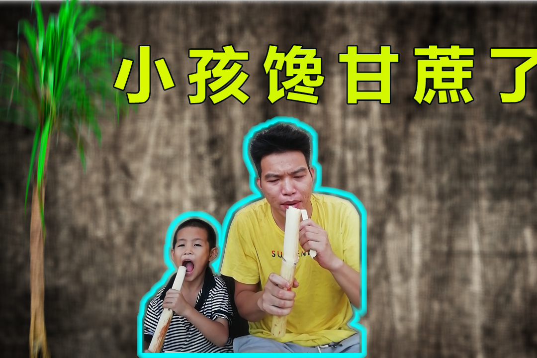 广西农村遍地甘蔗小孩馋甘蔗了背一捆甘蔗回来吃到饱太过瘾了