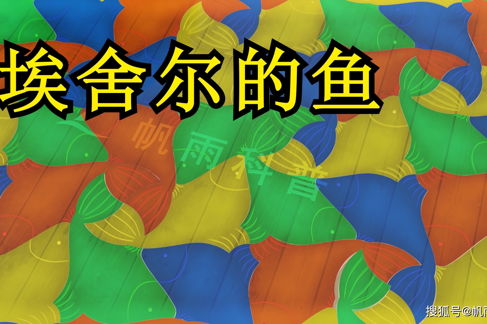 密铺:埃舍尔的鱼