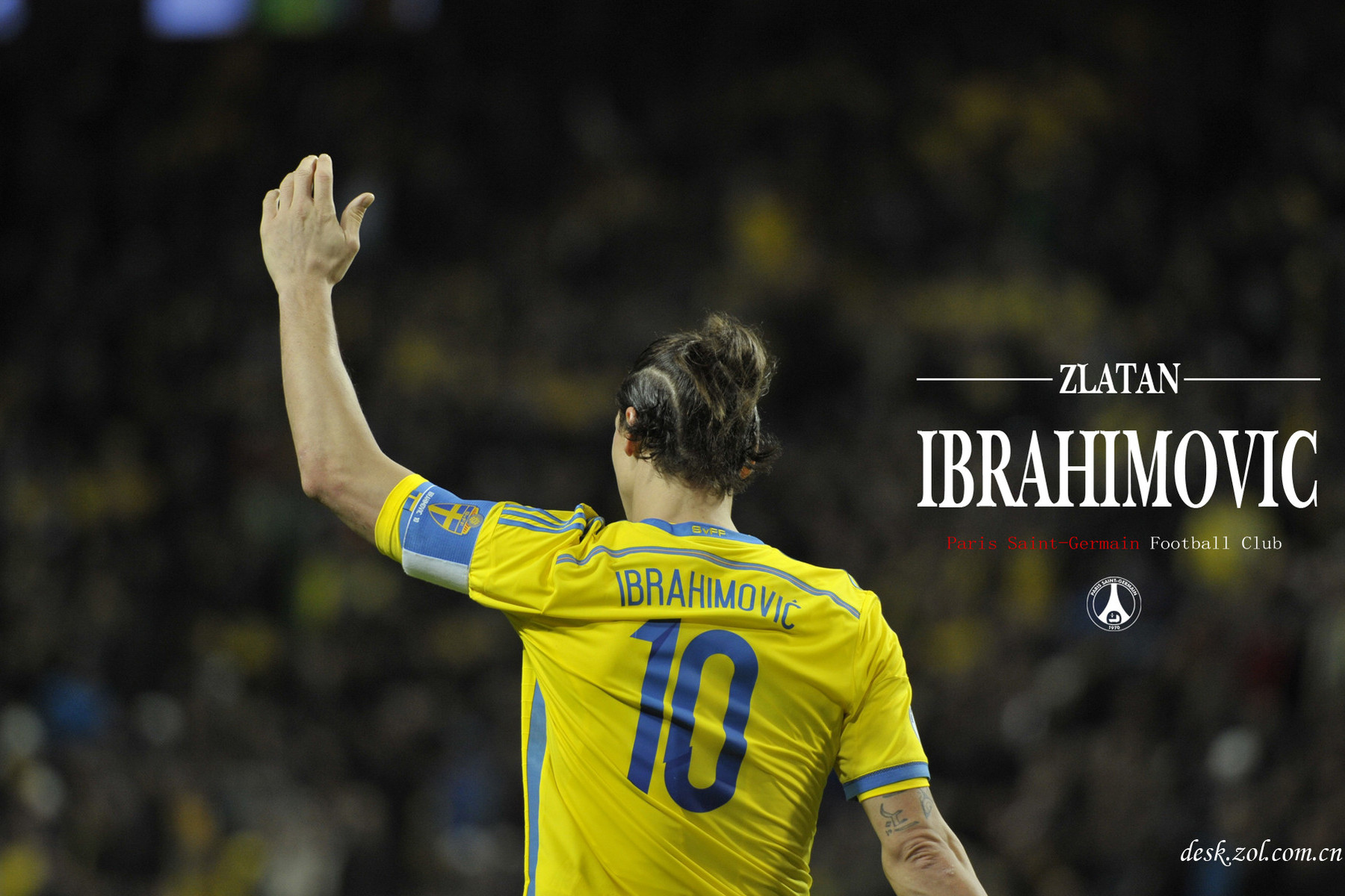 伊布拉西莫维奇禁区外天外飞仙