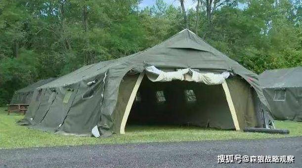 森狼战略观察的个人展示页