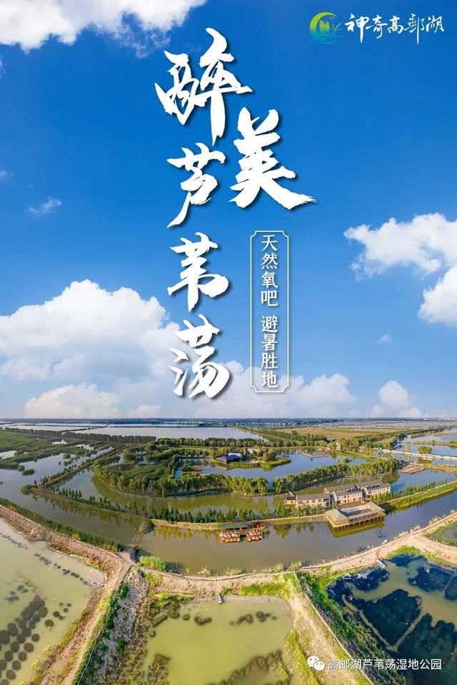 高邮湖芦苇荡湿地公园的个人展示页