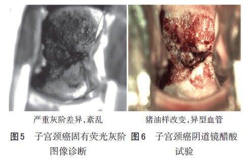 中国实用妇科与产科杂志