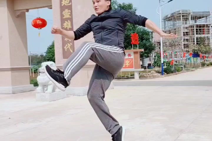 少林绝学十二路谭腿