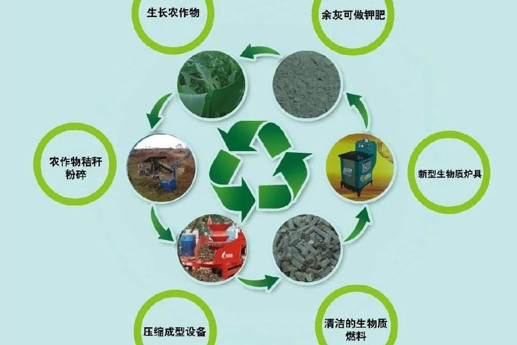 生物质能预计将占到可再生能源消费增长的30%