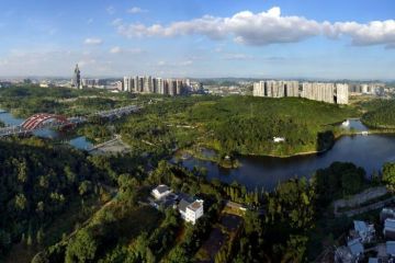 飞仕得毛利率连降两年：研发费用率低 股东身负