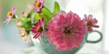 再熬61日，四大生肖财运惊人，财星环绕，红娘在身旁