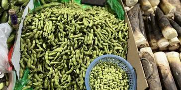 本地毛豆上市啦！快来看看还有什么时鲜货