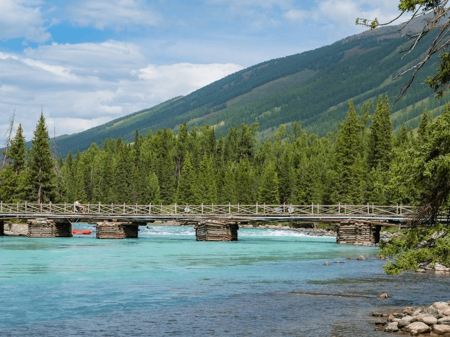 新疆阿勒泰喀纳斯河谷松林耸峙河水碧绿