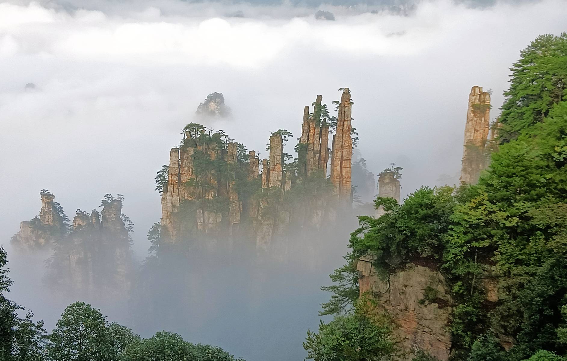 天子山云海图片