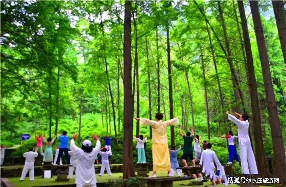 蜀山如黛蜀水似錦看成都康養旅遊的別樣精彩