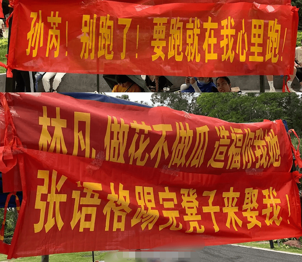 原创有种"土味应援"叫《青你2》,河人横幅应援不