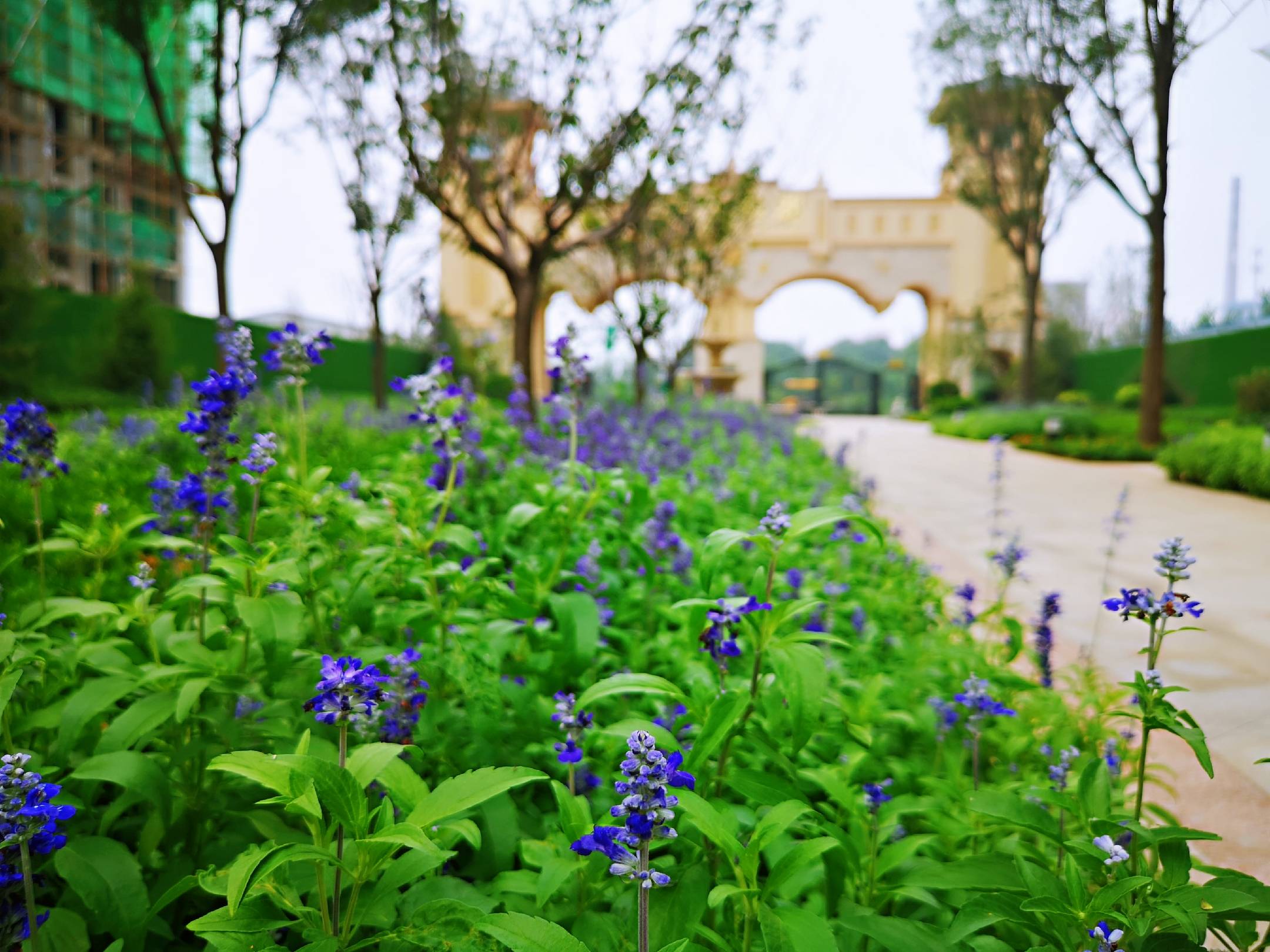 赵县天山熙湖,在城市中遇见美好!