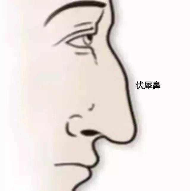 鼻子是裝錢的口袋,這些幾種鼻相不得不知