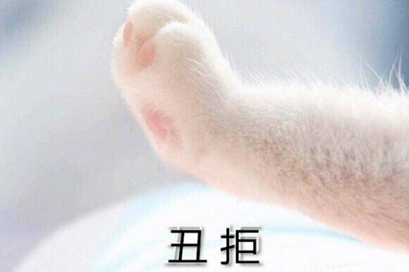 丑拒是什么意思,女生说丑拒是真的吗-团团金服