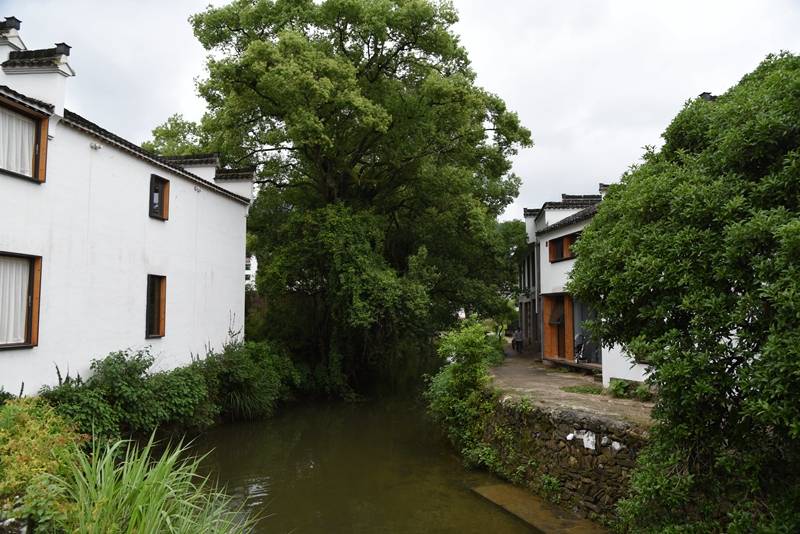 婺源望山生活绿色发展