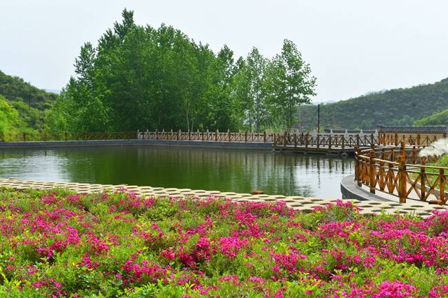山西盂县藏山翠谷景区圆满召开红色文化研讨会