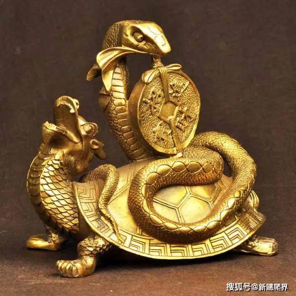 曾经被视为神明的蛇现如今为何造人唾弃