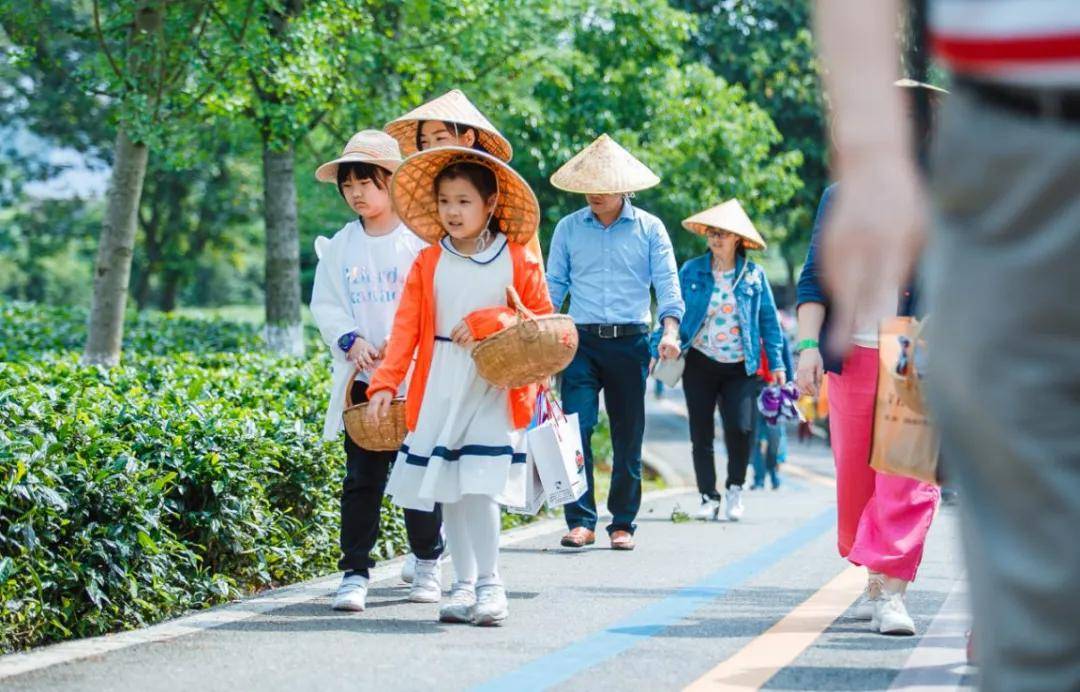 辞春迎夏采茶去，跟奇骏翻越茶山品香茗