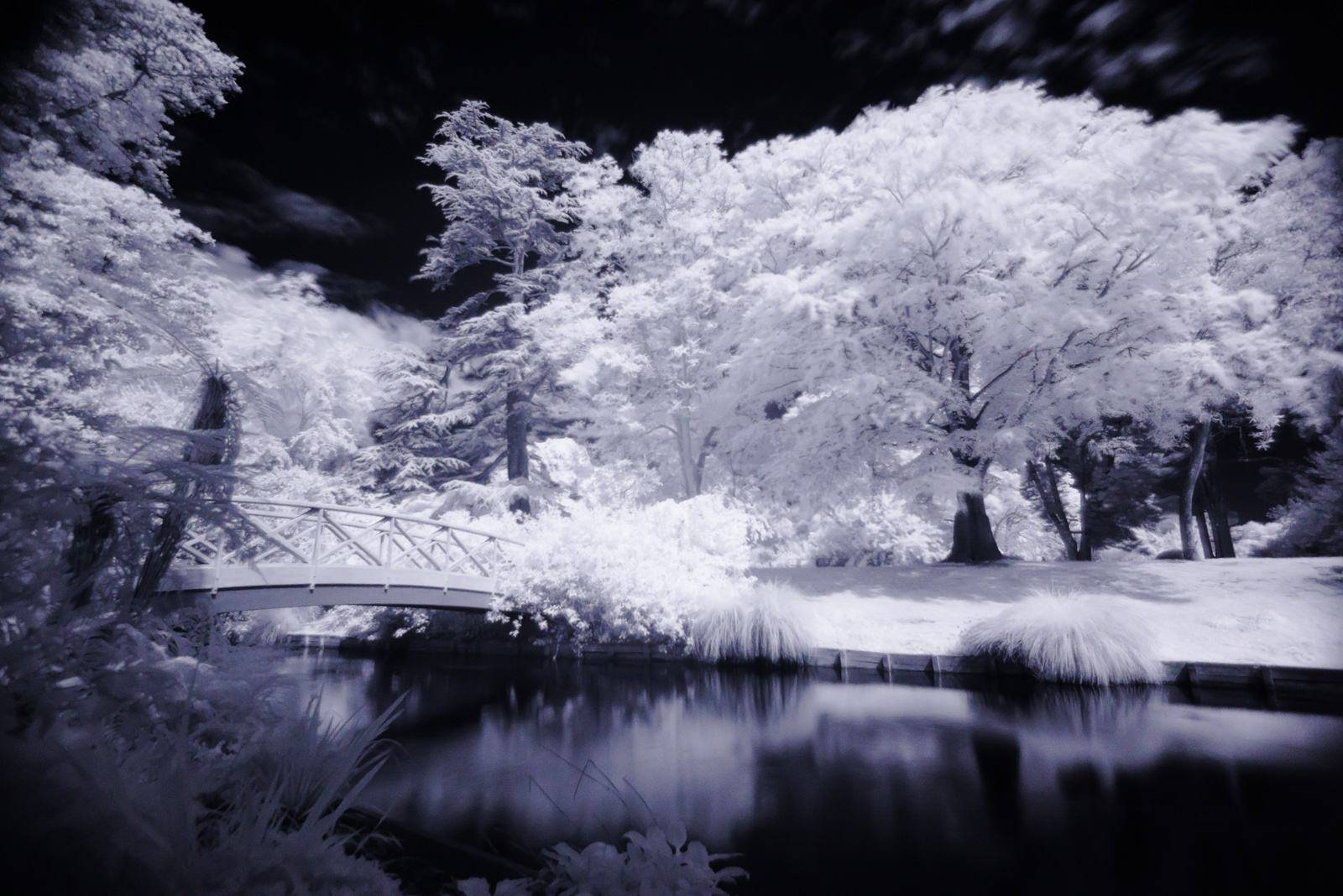 一加8pro手机摄像头可透视官方深夜致歉并禁用相关功能