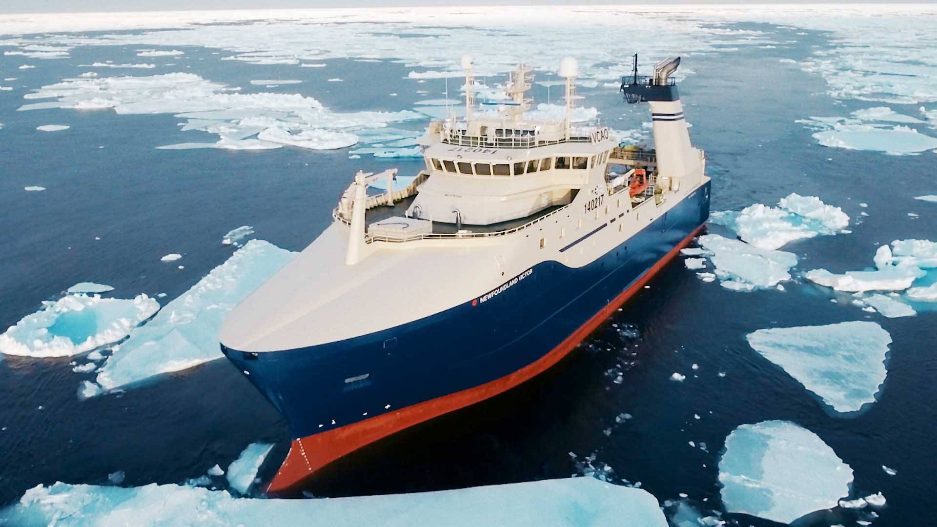 煮八宝粥冷水下锅还是温水农村妈妈教你正确方法香甜米油多