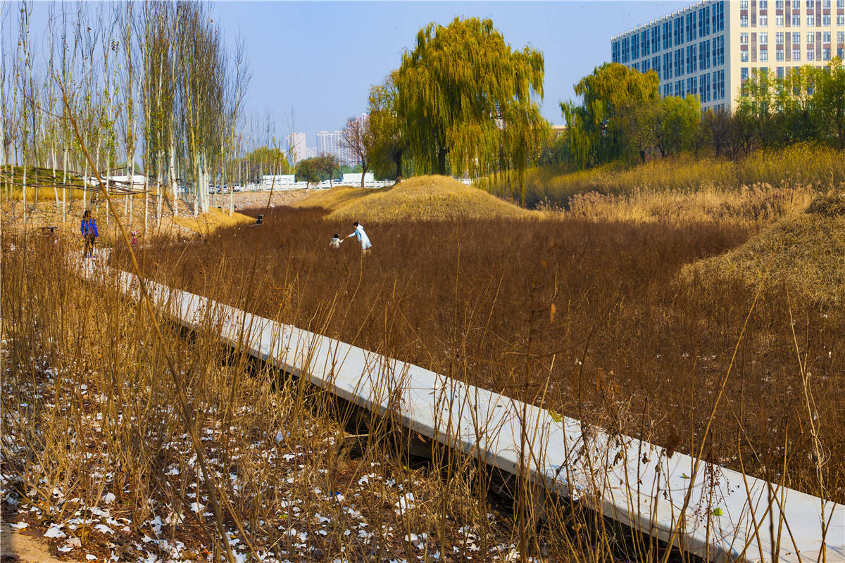 09.金华燕尾洲公园