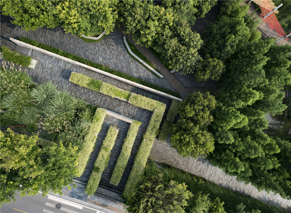 暴雨来临又想起海绵城市