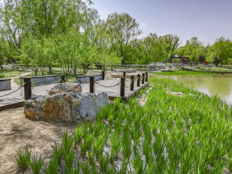 原创北京树村郊野公园走走看看