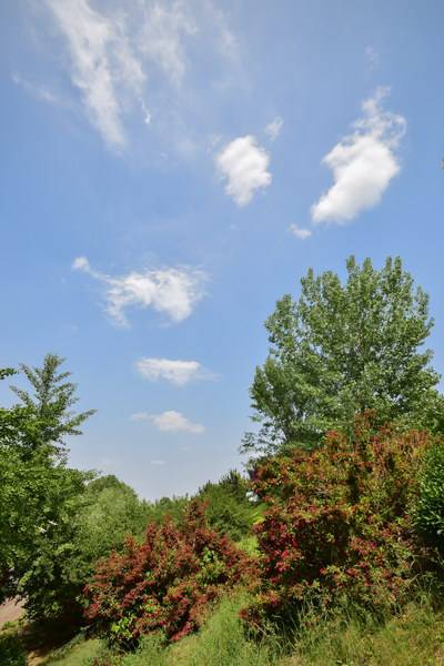 原创北京望京地区西部的金隅南湖公园