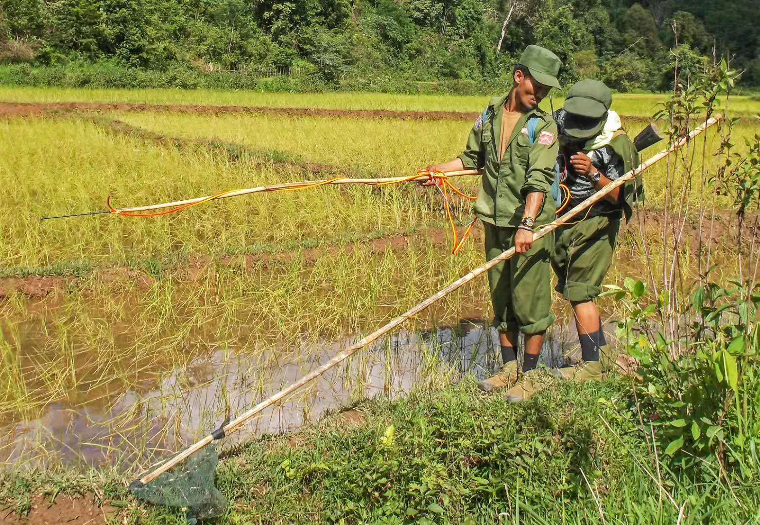 缅甸果敢同盟军军旅题材摄影作品分享