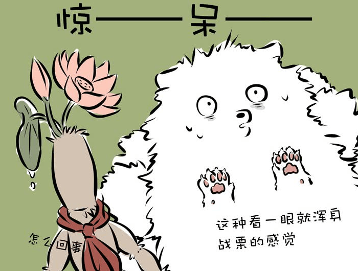 非人哉白泽变神兽形态将哪吒九月吓出原型一动都不敢动